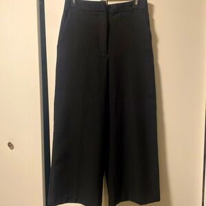Zara wide leg pants